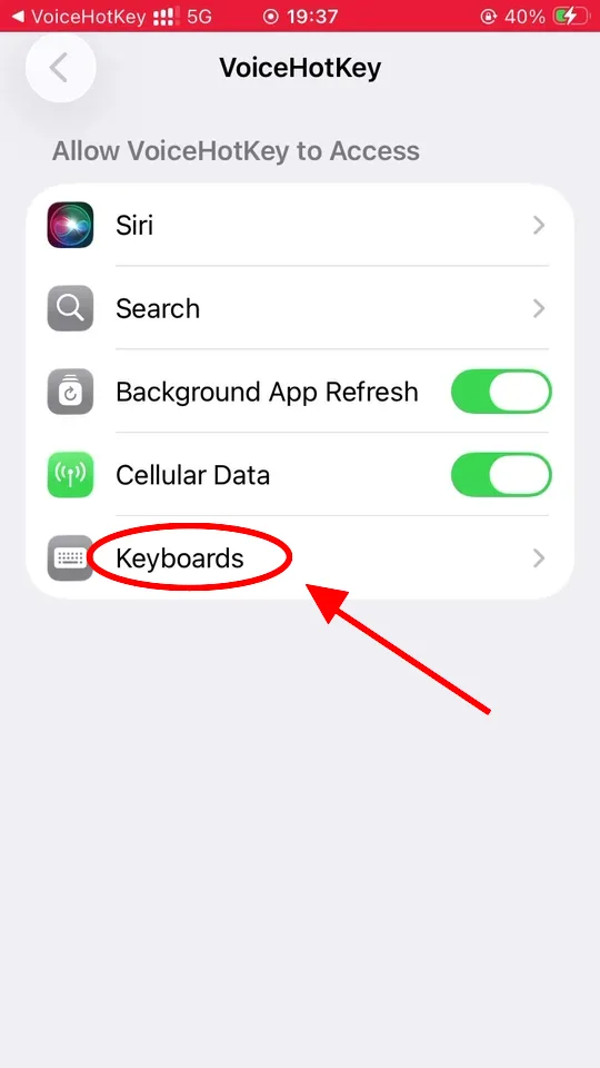 Configurações do iOS mostrando o acesso ao VoiceHotKey